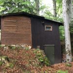 Abriss eines Gartenhauses